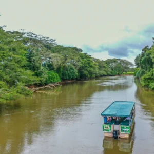 Caño Negro Boat Safari