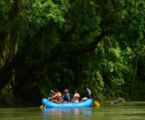 Nightly Safari Floating