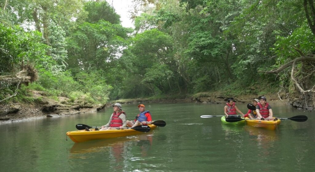 Safari Float by Kayak