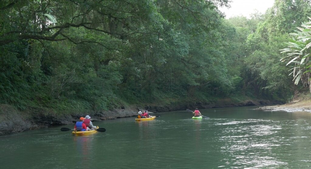 Safari Float by Kayak