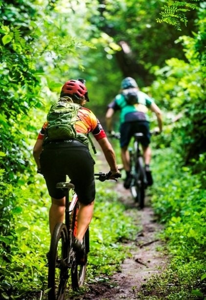 Arenal Bike Tour