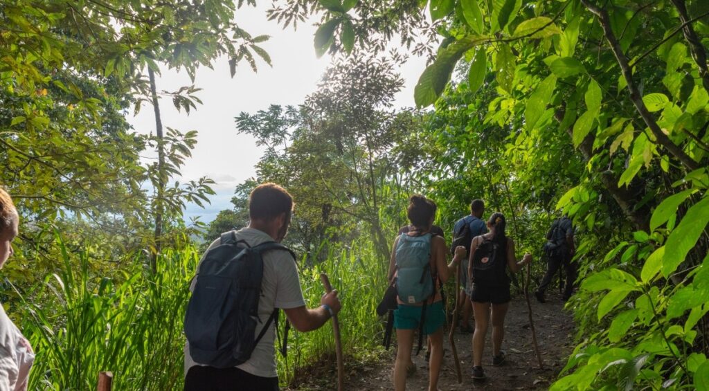 Arenal Half Day Tour