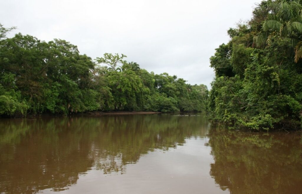 Cano Negro Wildlife Refuge