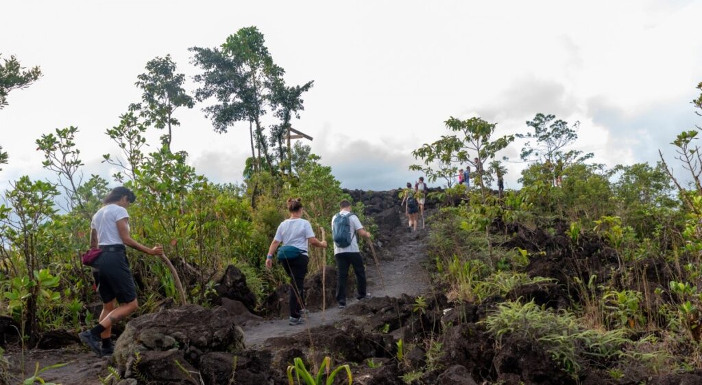 Arenal Half Day Tour