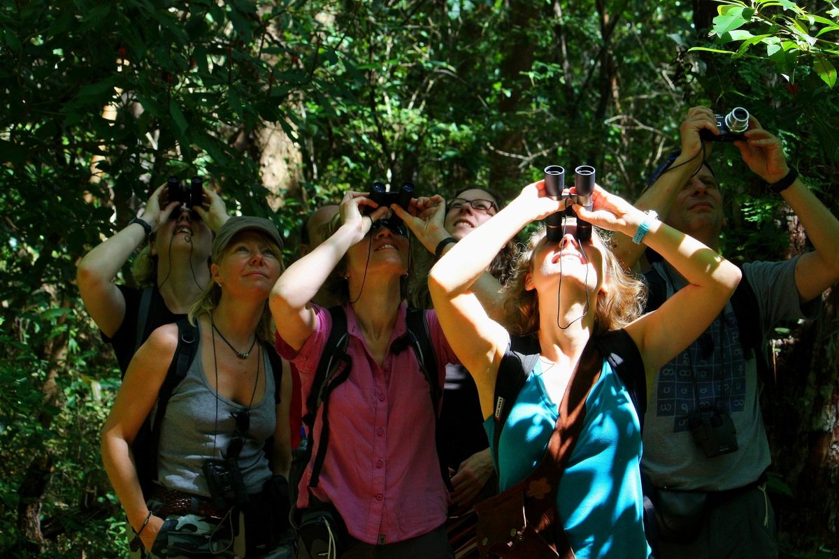 Bird Watching Tour 4