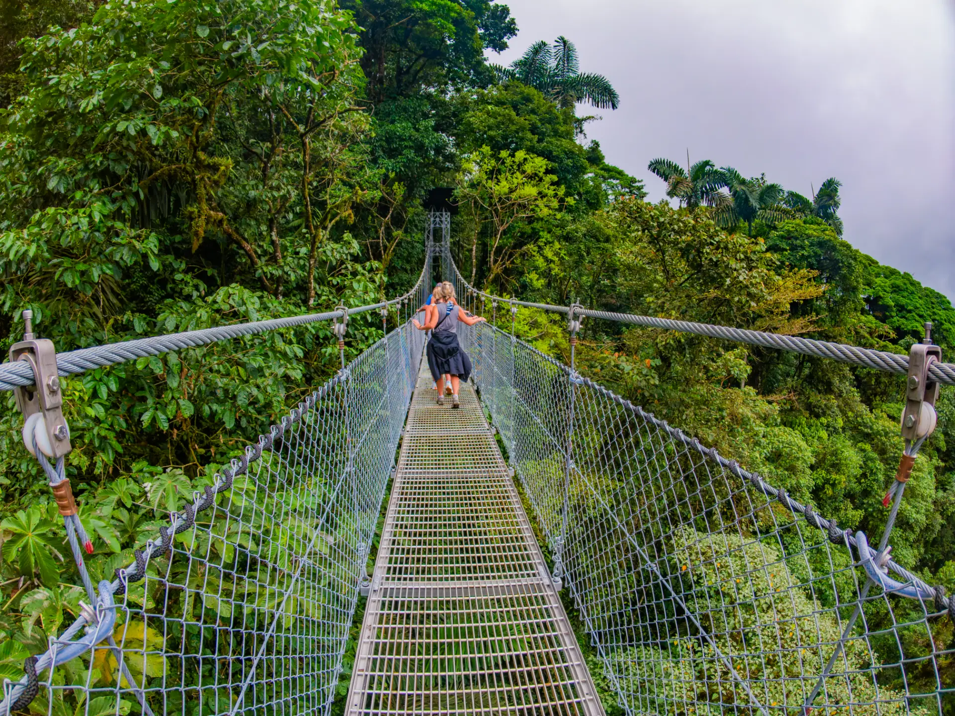 Hanging Bridges 4