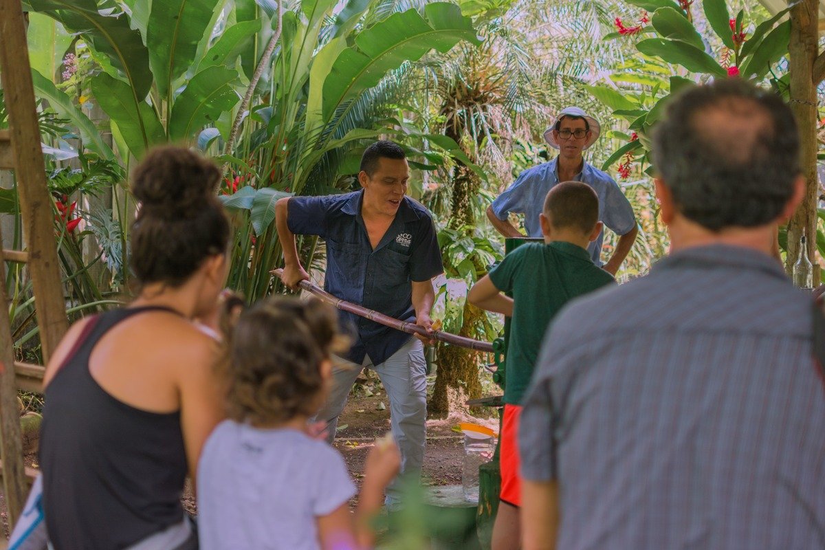 Costa Rica Campesino Farm Experience 6