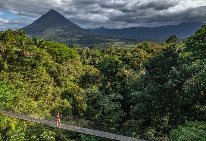 Arenal Hanging Bridges Tour