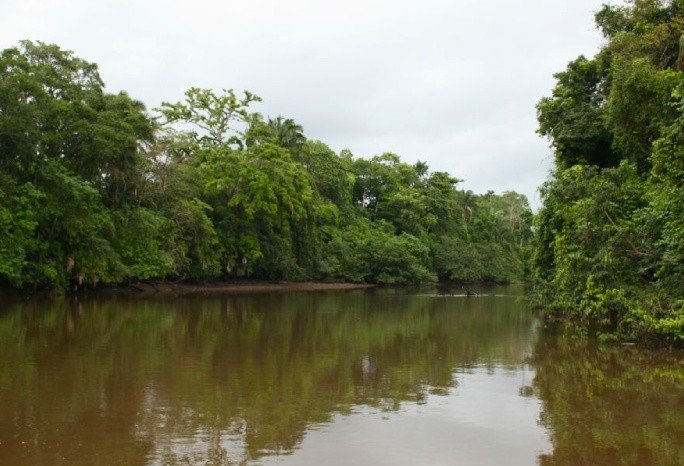 Cano Negro Wildlife Refuge 5