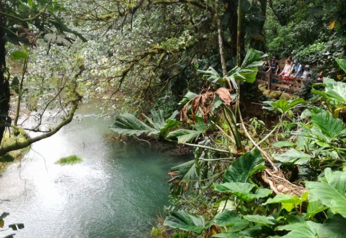Rio Celeste Hike 5