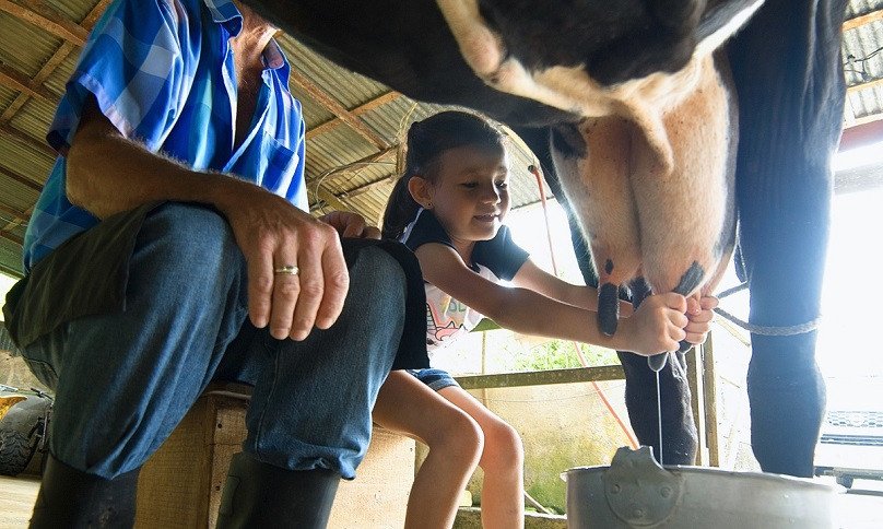 Costa Rica Campesino Farm Experience 2