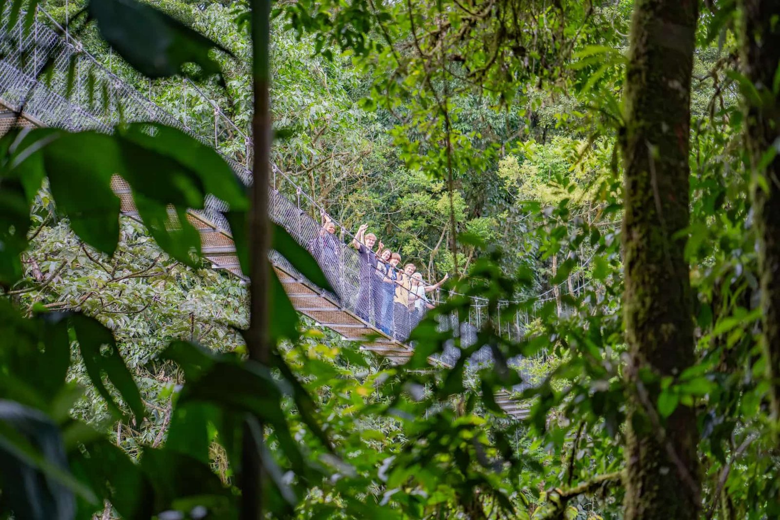 Arenal Hanging Bridges Tour 3