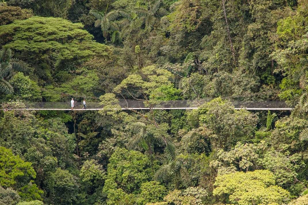 Arenal Hanging Bridges Tour 1
