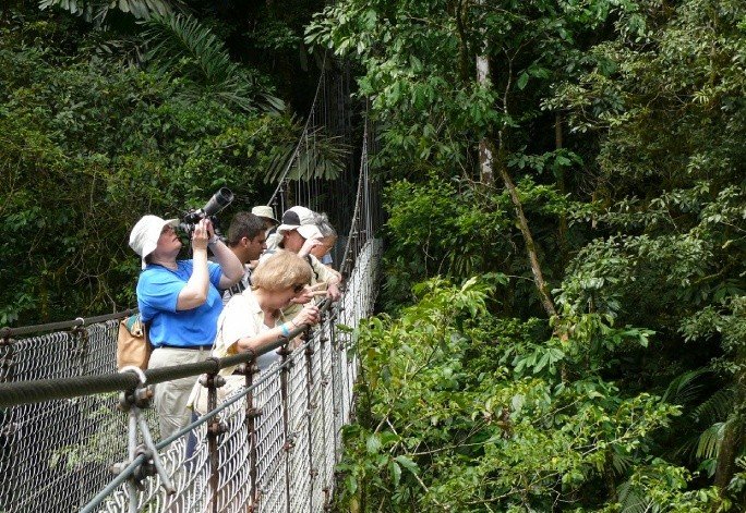 Hanging Bridges + Waterfall Combo