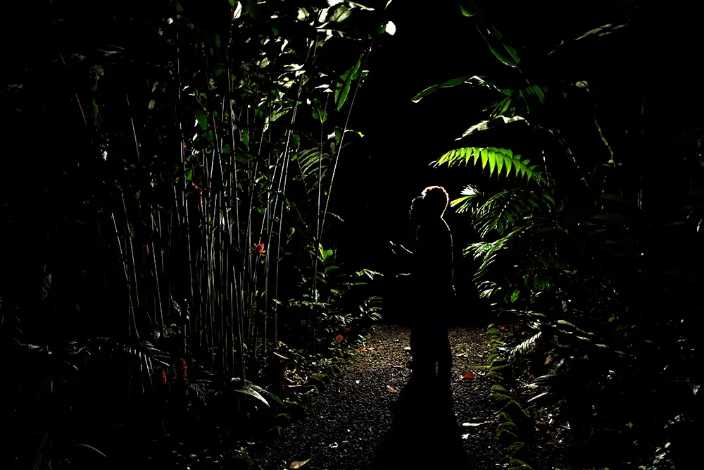 Arenal Natural Night Hike 4